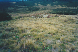 Original site of Wheelers Hut, above Toolong Diggings, Unknown 2002.