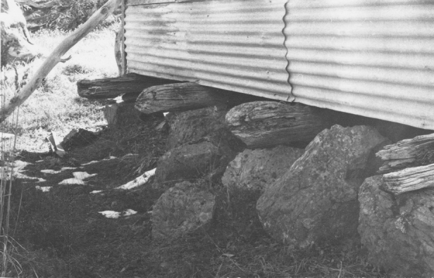 broken dam log bearers rvallack april 1972