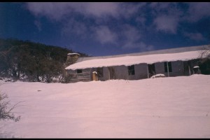 During a heavy snow fall (unsure of the date)