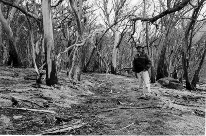 Phillip Crampton beside old track, Davies Hut to Constances Hut 2004