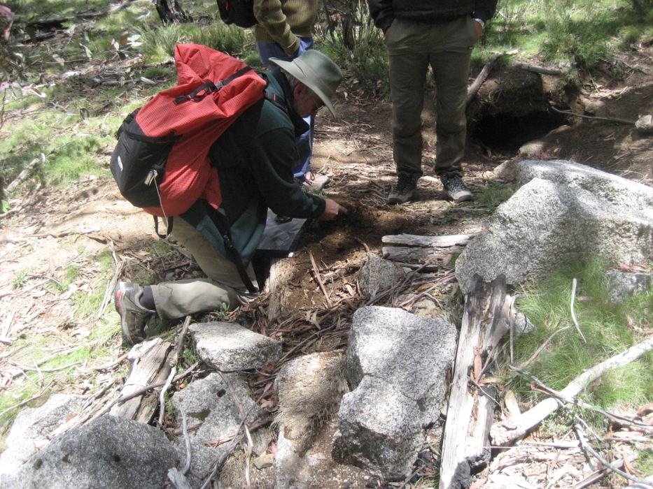 Chimney Stones and Wombat Hole