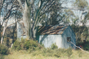 Photo Patty Purves. Patons Hut Easter 1996