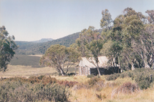 Photo Sue Davies. View of Mt Jagungal from Wheelers Hut March 1994.