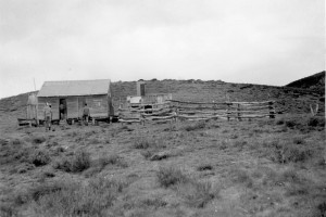 Grey Mare Hut with yards, this may not be the current building, 1947; Peter Woolley Collection.