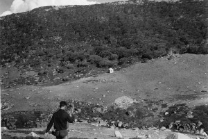 Pounds Creek Hut, from the slope opposite, 1947; Peter Woolley Collection. 