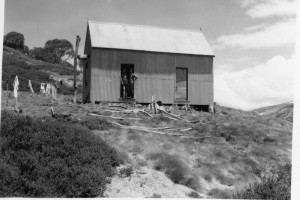 Pounds Creek Hut, currently the sleeping quarters of Illawong Lodge, 1947; Peter Woolley Collection.
