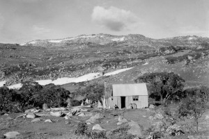 Tin Hut on the Brassy Range 1947; Peter Woolley Collection.