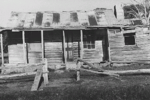 Daveys Hut front 1982 Reet Vallack Collection