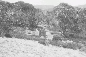 Happy Jacks Hut 1972 Reet Vallack Collection