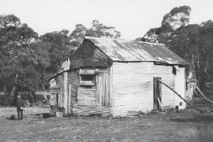 Harris Hut 1972 Reet Vallack Collection