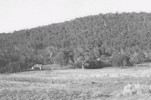  Harris Hut site 1972  Reet Vallack Collection