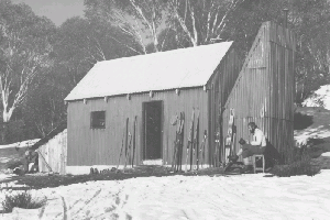 Unknown Grey Mare 1982 Reet Vallack Collection