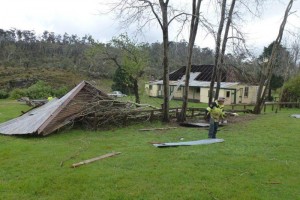 Storm Damage - &#169; Diane Thompson, 2011