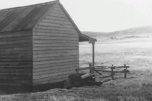 Daveys hut 1982 KHA Weekend Reet Vallack Collection 1982