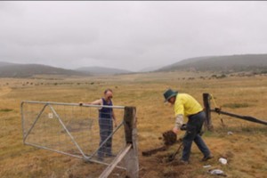 Repairing the gate - &#169; Pauline Downing, 2014