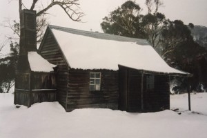 Before the 2003 fires - Courtesy of Michelle Watson, 2002.