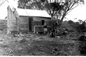  National Library of Australia, Year Unknown