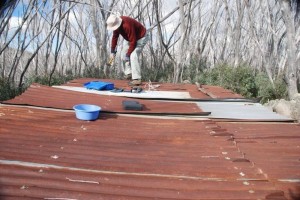 Old Roof - &#169; Gail Barton, 2010