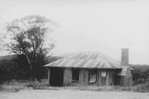 Nearby Tyrells Hut, vertical log cladding, photo unknown. Only fireplace and roof remain.