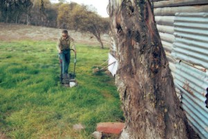 Megan Bowden, late 1990's