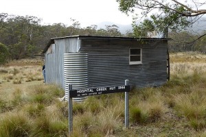 Rear view - Greg Hutchison, Apr 2015