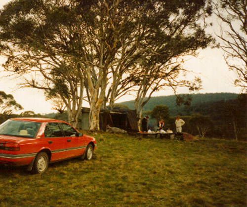 Peppercorn Shelter