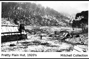 Late 1920's, looking south up the Bulls Peaks Creek Valley.