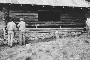 Closeup of new logs being carefully replaced, photo John Hamilton