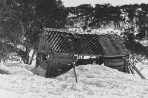 Teddys Hut in poor condition. Year unknown