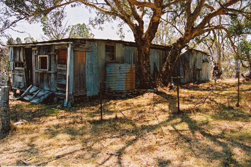 Tennent Shearing Shed OM 02