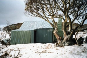 Tin Hut west wall, &#169; Alan Levy, 2002