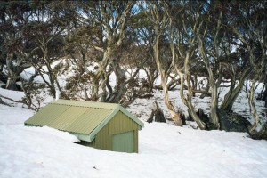 The Toilet - &#169; Alan Levy, 2002