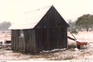 Working in the snow