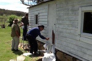 Painting the door, Jack Palmer Oct 2014.