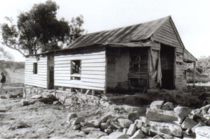Westermans Hut before restoration, Maurice Sexton?, 1992.