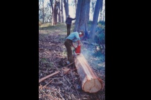 &#169; Bob Clarkson, Dec 1991 Cutting slabs