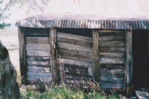 Wheelers back wall requires extensive work. Unknown, 2004.