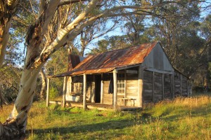 Our 'Icon' hut, Wheelers. &#169; J. Mandle, March 2015.