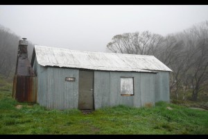 &#169; Pip Brown, Nov 2007