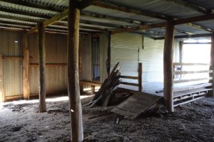 &#169; N Irvine, 2014