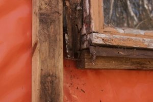 Rotten window framing; HMO South 2005